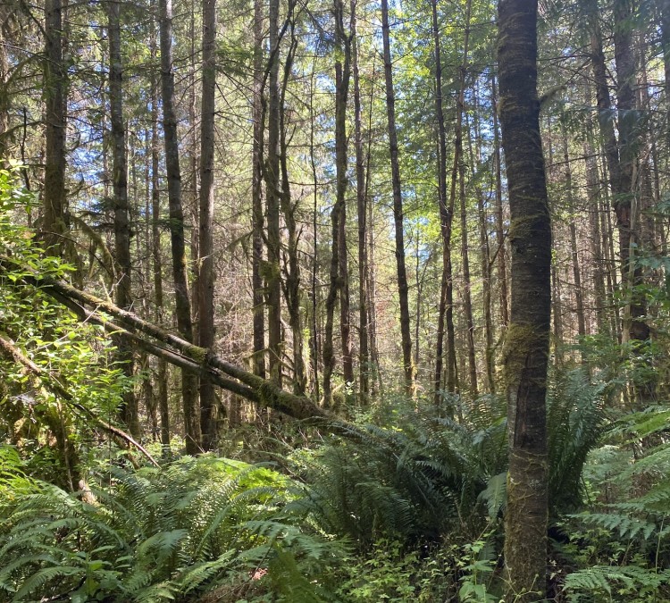 Paradise Valley Conservation Area Parking and Trail Head (Woodinville,&nbspWA)